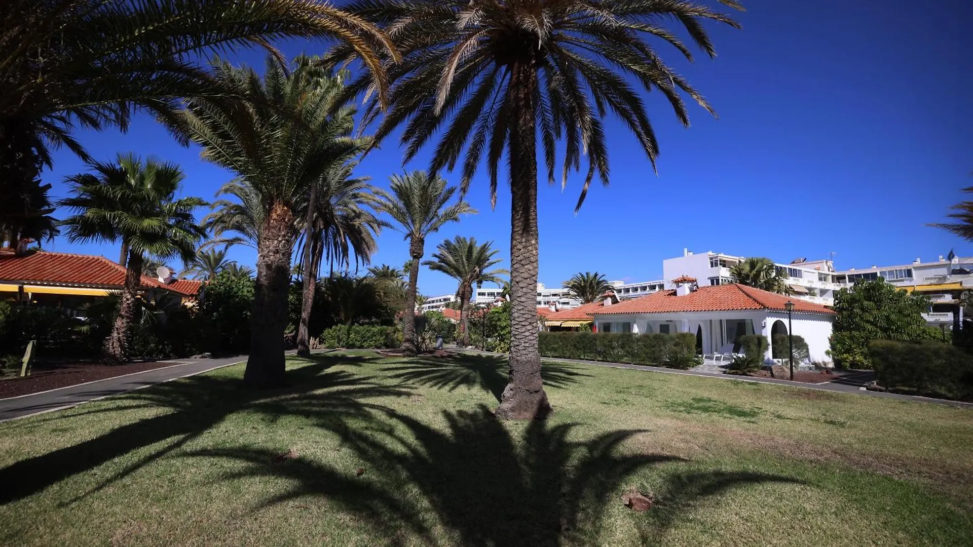 Sun Club Playa Del Ingles Hotel Holiday park Playa del Ingles (Gran Canaria)