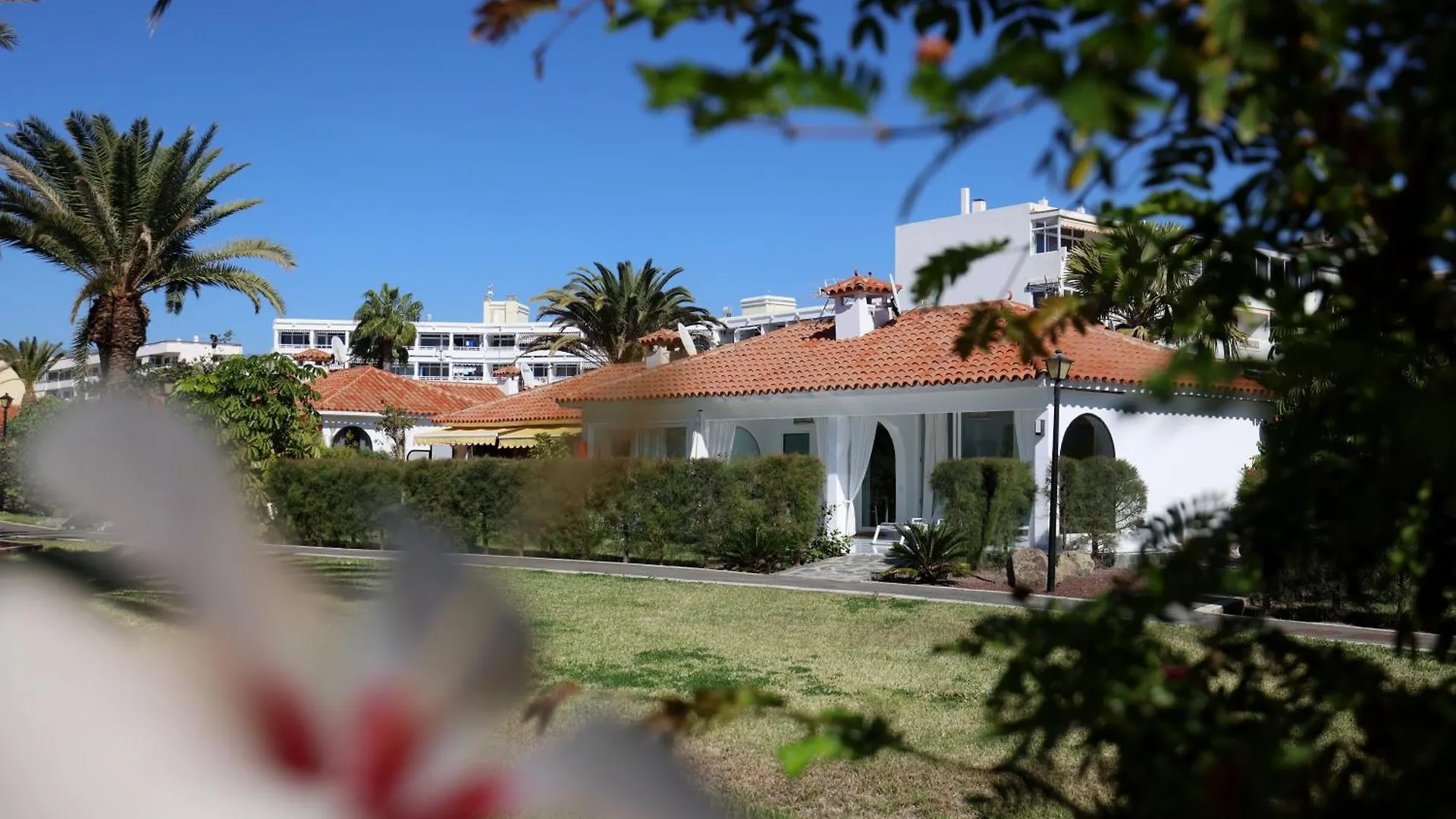 Holiday park Sun Club Playa Del Ingles Hotel